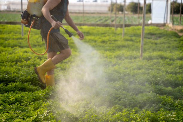 Best Best Pest Control Companies  in Anchorage, AK