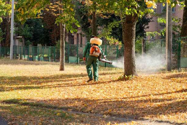 Best Pest Control Near Me  in Anchorage, AK