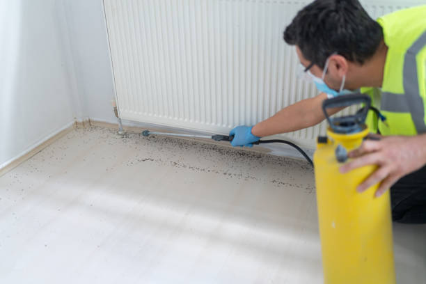 Best Bed Bug Extermination  in Anchorage, AK