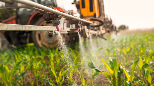 Best Mosquito Control Services  in Anchorage, AK