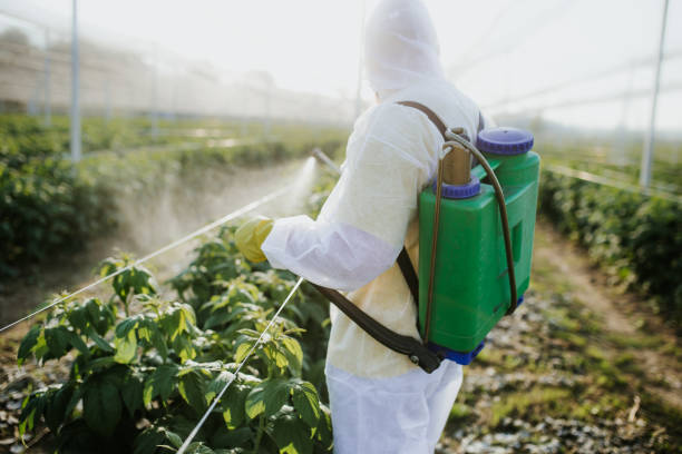  Anchorage, AK Pest Control Pros
